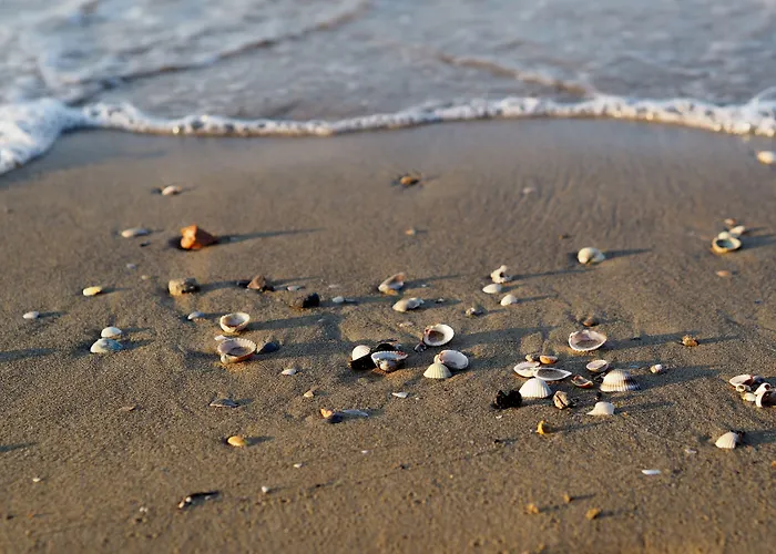 Comfy Flat 200mt From The Beach-beahost