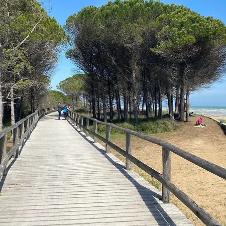 Appartement Comfy Flat 200 M From The Beach-beahost *